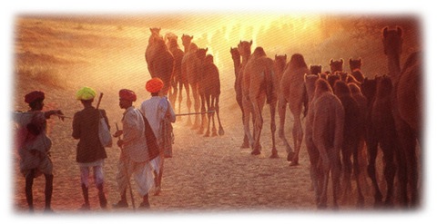 Kamele